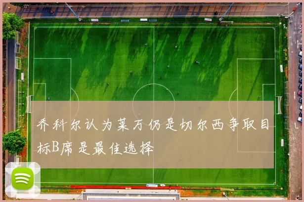 乔科尔认为莱万仍是切尔西争取目标B席是最佳选择