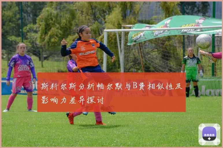斯科尔斯分析帕尔默与B费相似性及影响力差异探讨