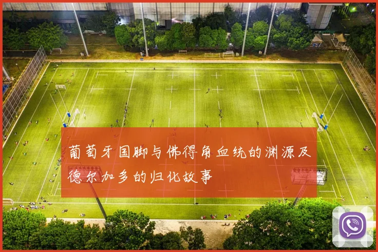 葡萄牙国脚与佛得角血统的渊源及德尔加多的归化故事