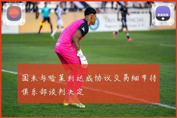 国米与哈莱利达成协议交易细节待俱乐部谈判决定